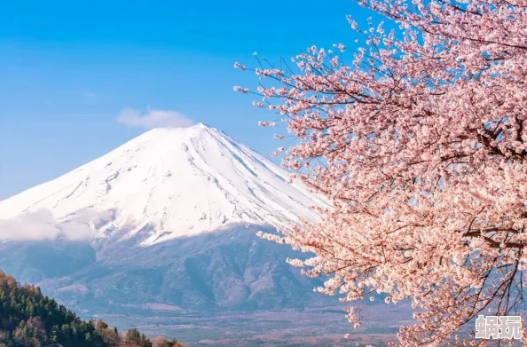 海岛泡温泉赏樱花，尽享神仙般惬意生活—《海岛纪元》新版本精彩上线