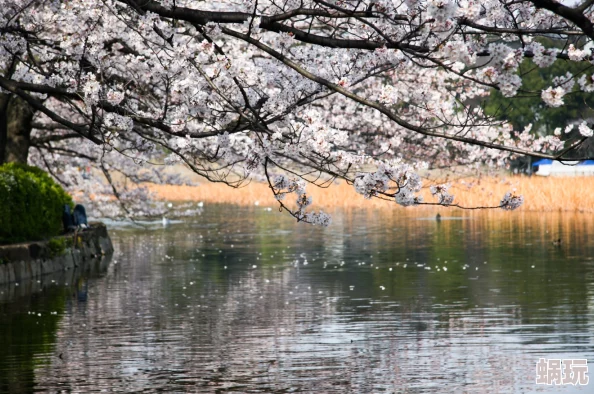 海岛泡温泉赏樱花，尽享神仙般惬意生活—《海岛纪元》新版本精彩上线